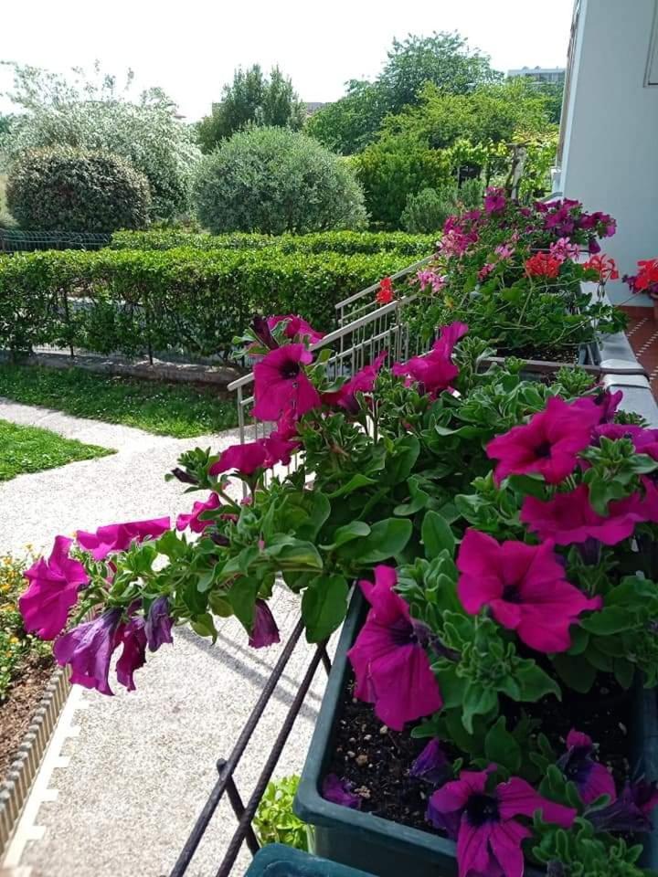 Bed and Breakfast La Cjase Di Pieri E Vilme Udine Exteriér fotografie